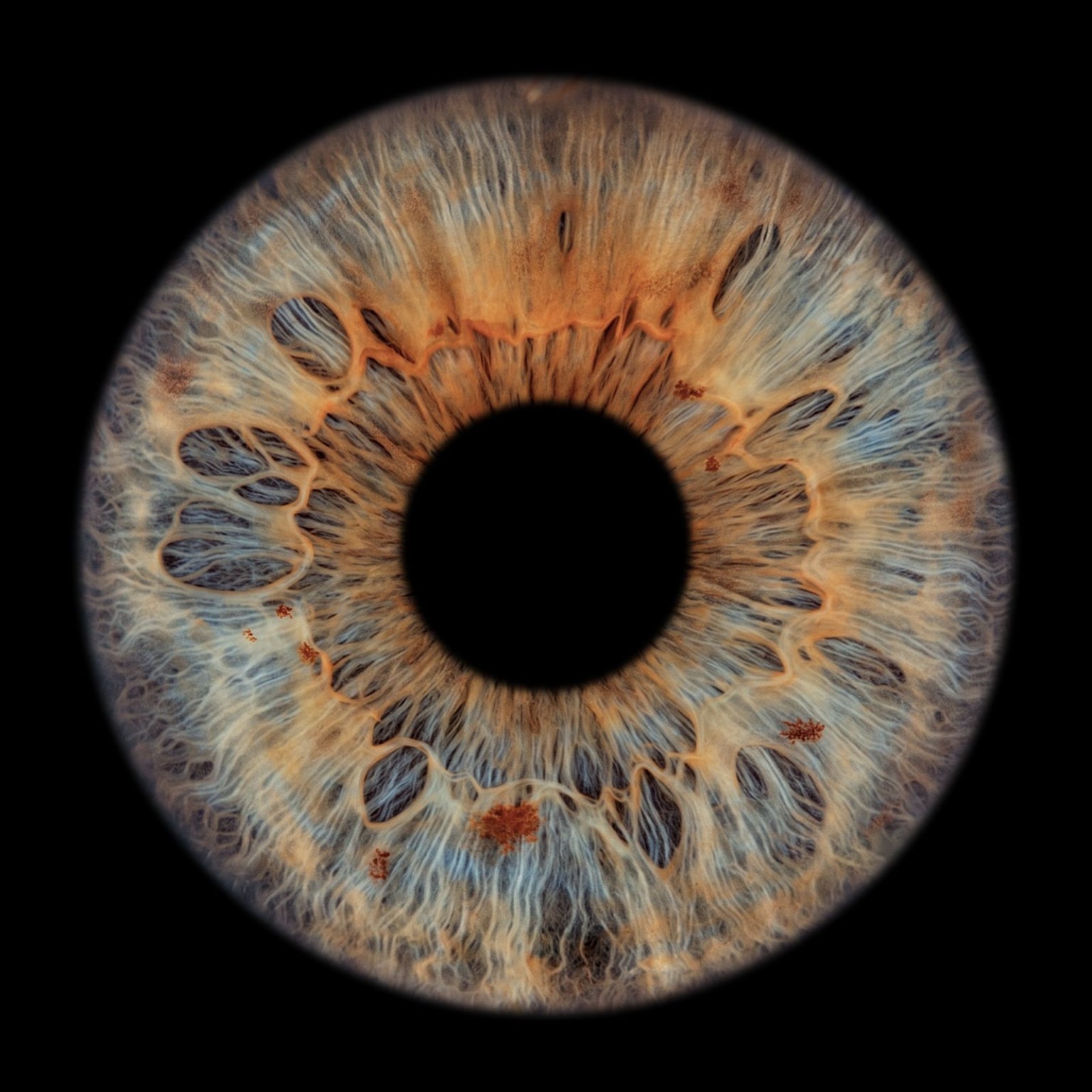 Uw irisfoto in Amsterdam: zo plant u uw bezoek
